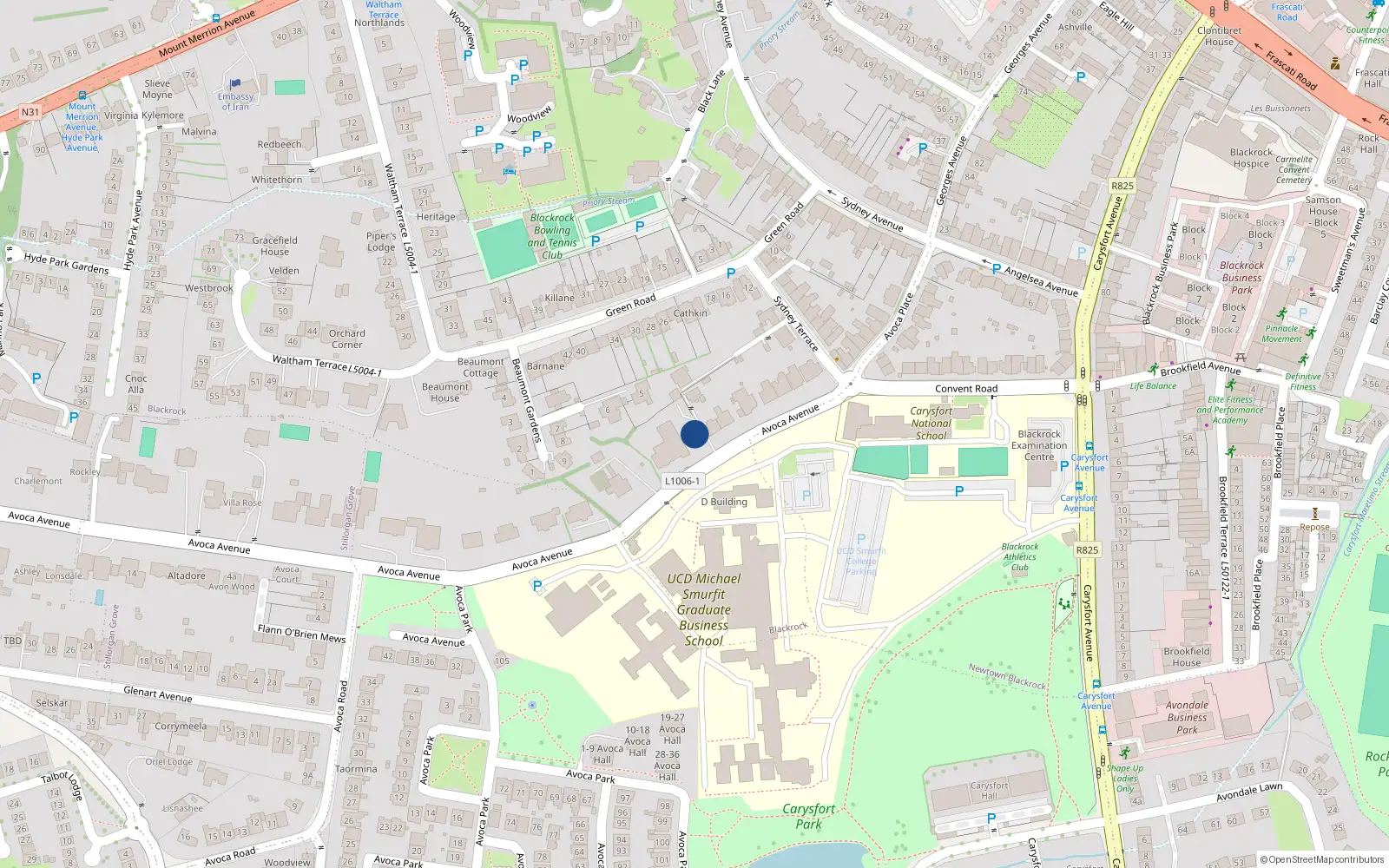 Overhead map showing the location of 6 Avoca Avenue, Blackrock