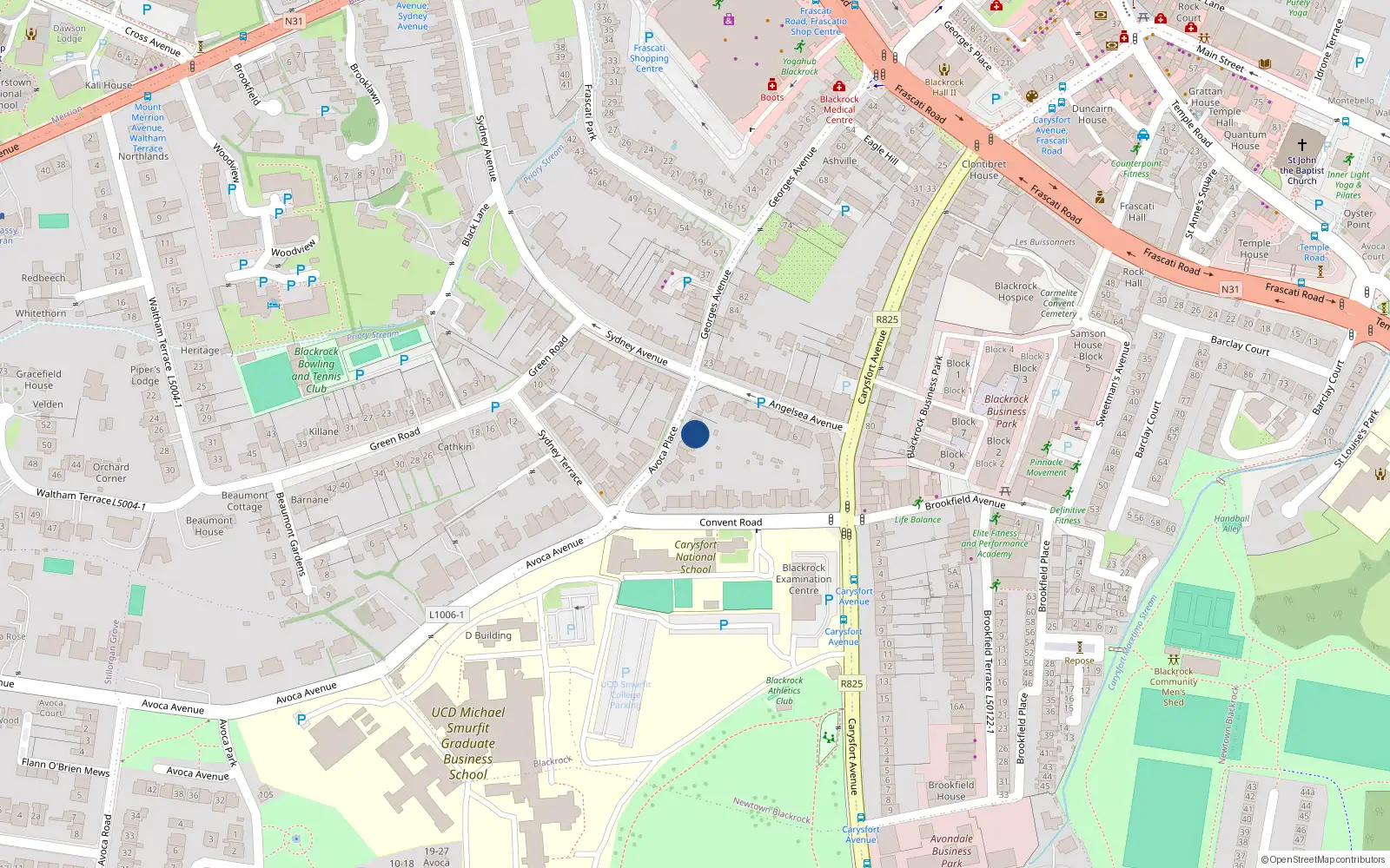 Overhead map showing the location of 6 Avoca Place, Blackrock