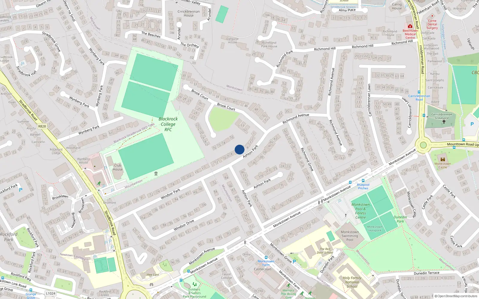 Overhead map showing the location of 6 Brook Court, Monkstown
