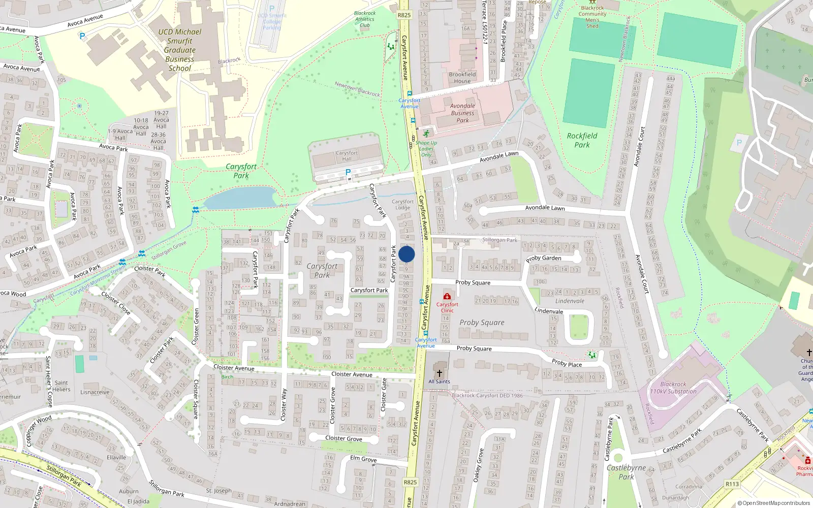 Overhead map showing the location of 6 Carysfort Park, Blackrock