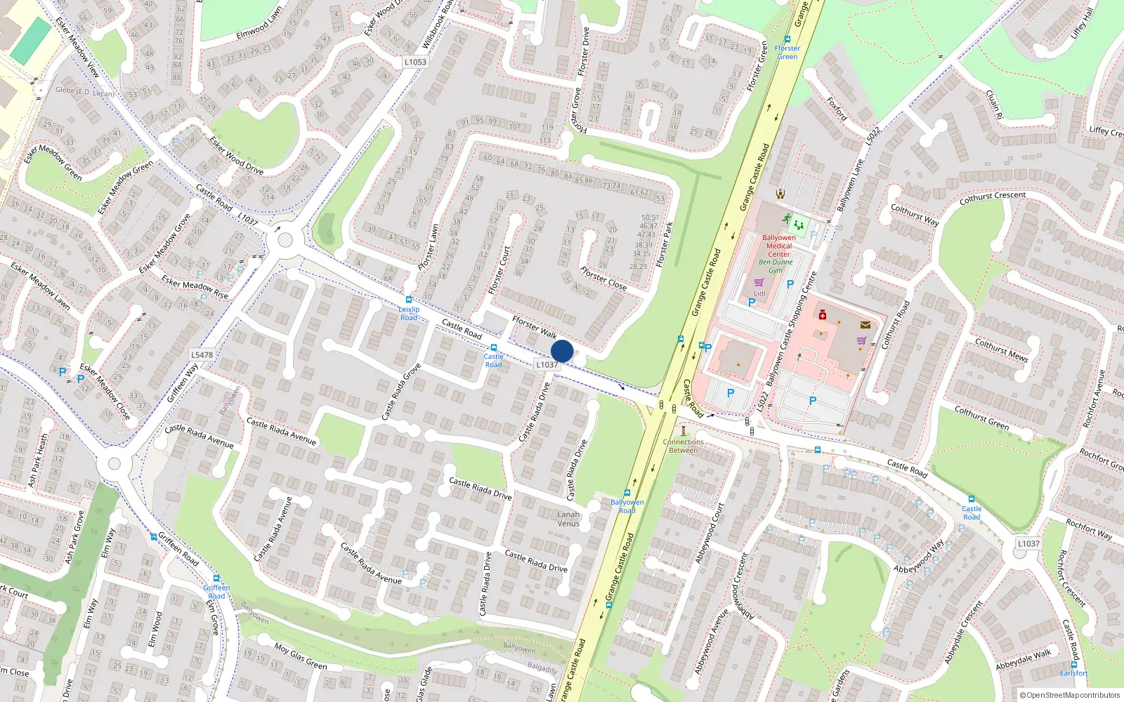 Overhead map showing the location of 6 Forster Walk, Lucan, Dublin