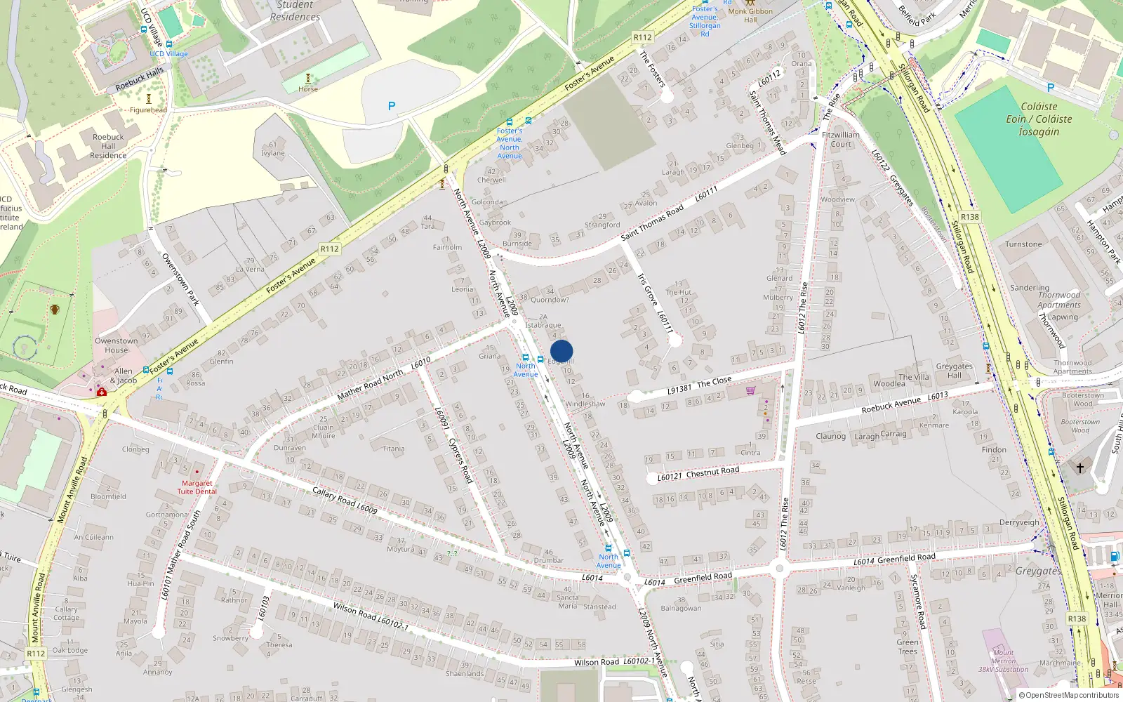 Overhead map showing the location of 6 North Avenue, Blackrock