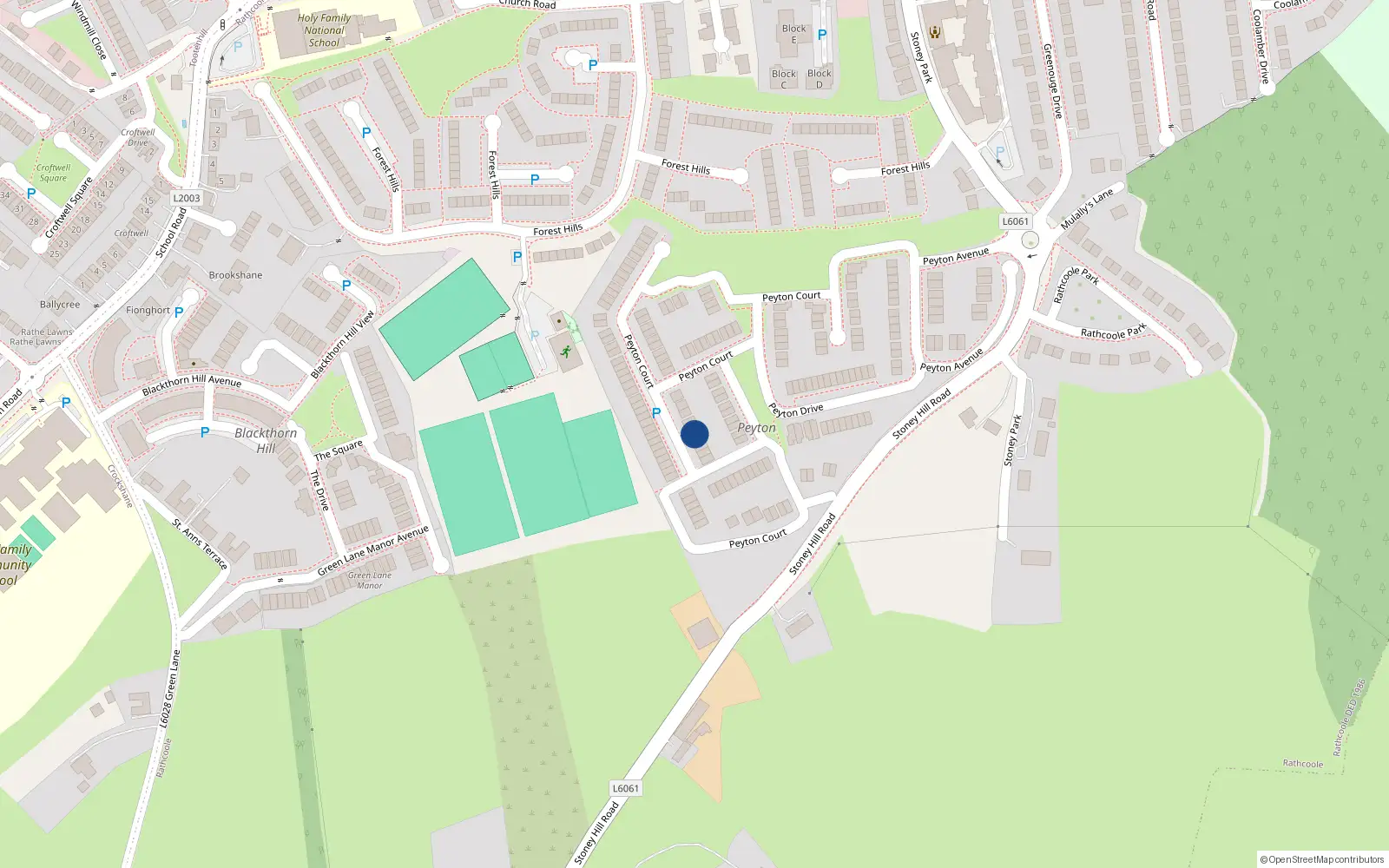 Overhead map showing the location of 6 Peyton Close, Rathcoole