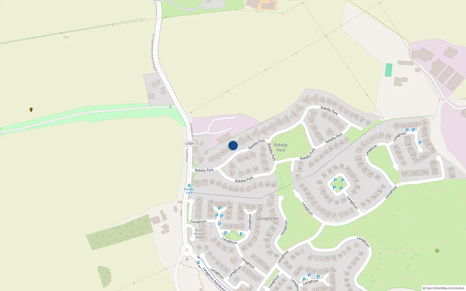 Overhead map showing the location of 6 Rokeby Park, Lucan