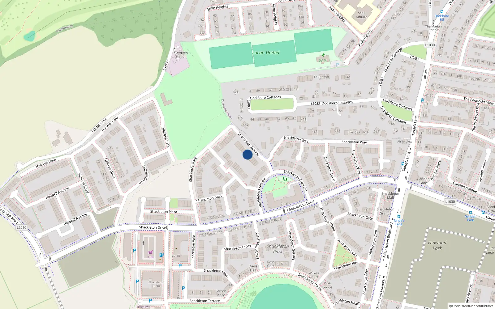 Overhead map showing the location of 6 Shackleton Avenue, Lucan
