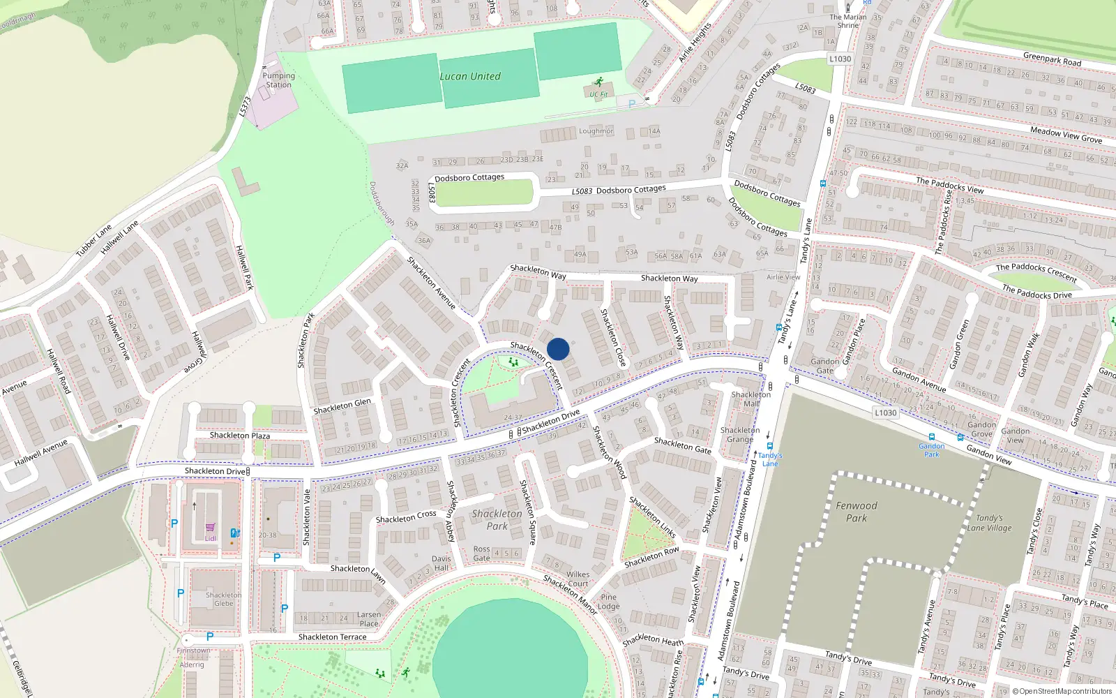 Overhead map showing the location of 6 Shackleton Crescent, Lucan