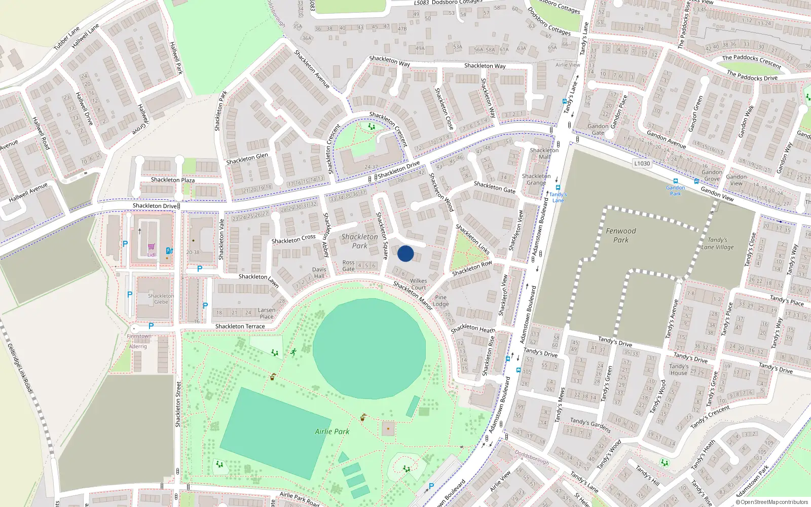 Overhead map showing the location of 6 Shackleton Glade, Lucan