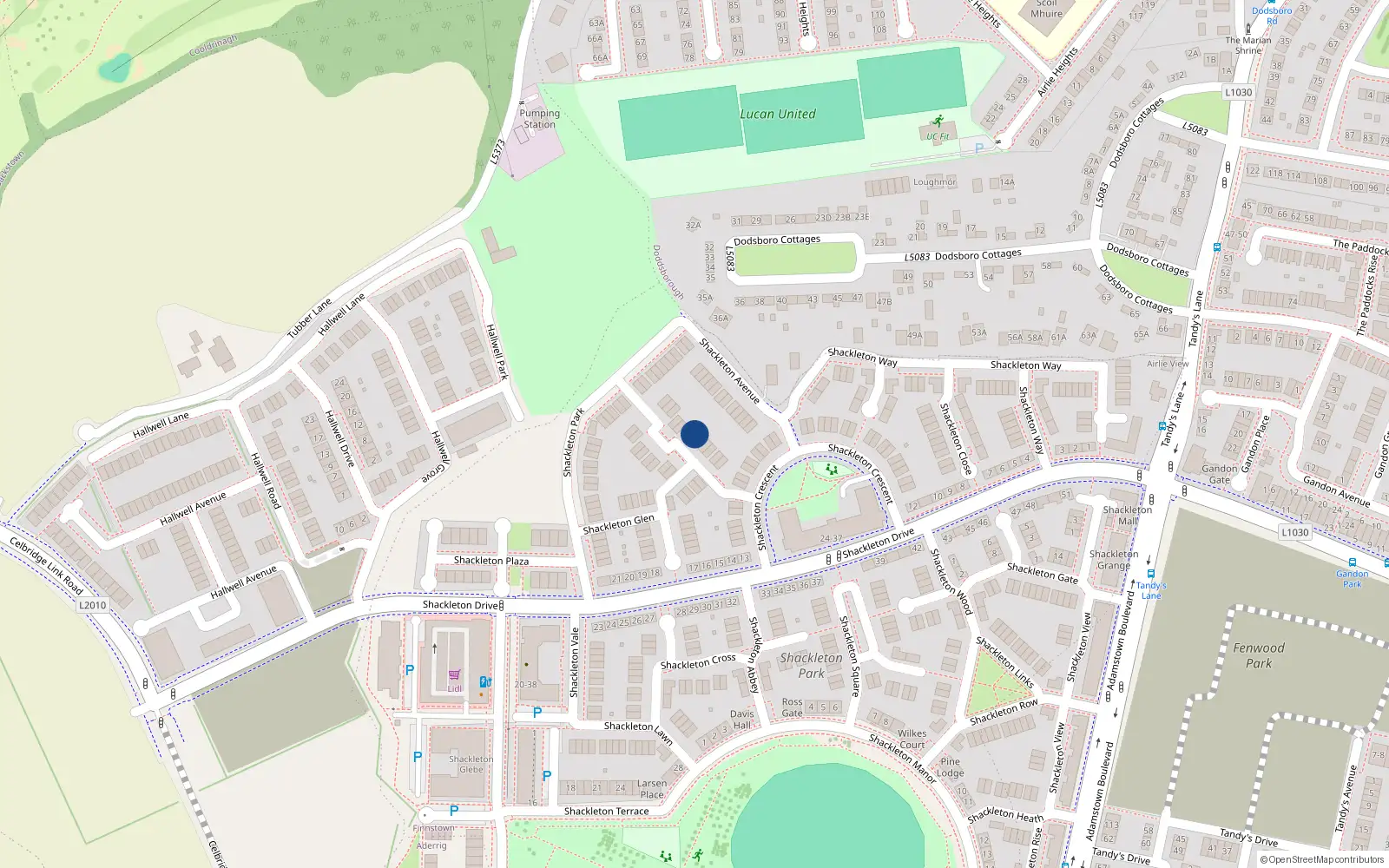 Overhead map showing the location of 6 Shackleton Grove, Shackleton Park, Lucan