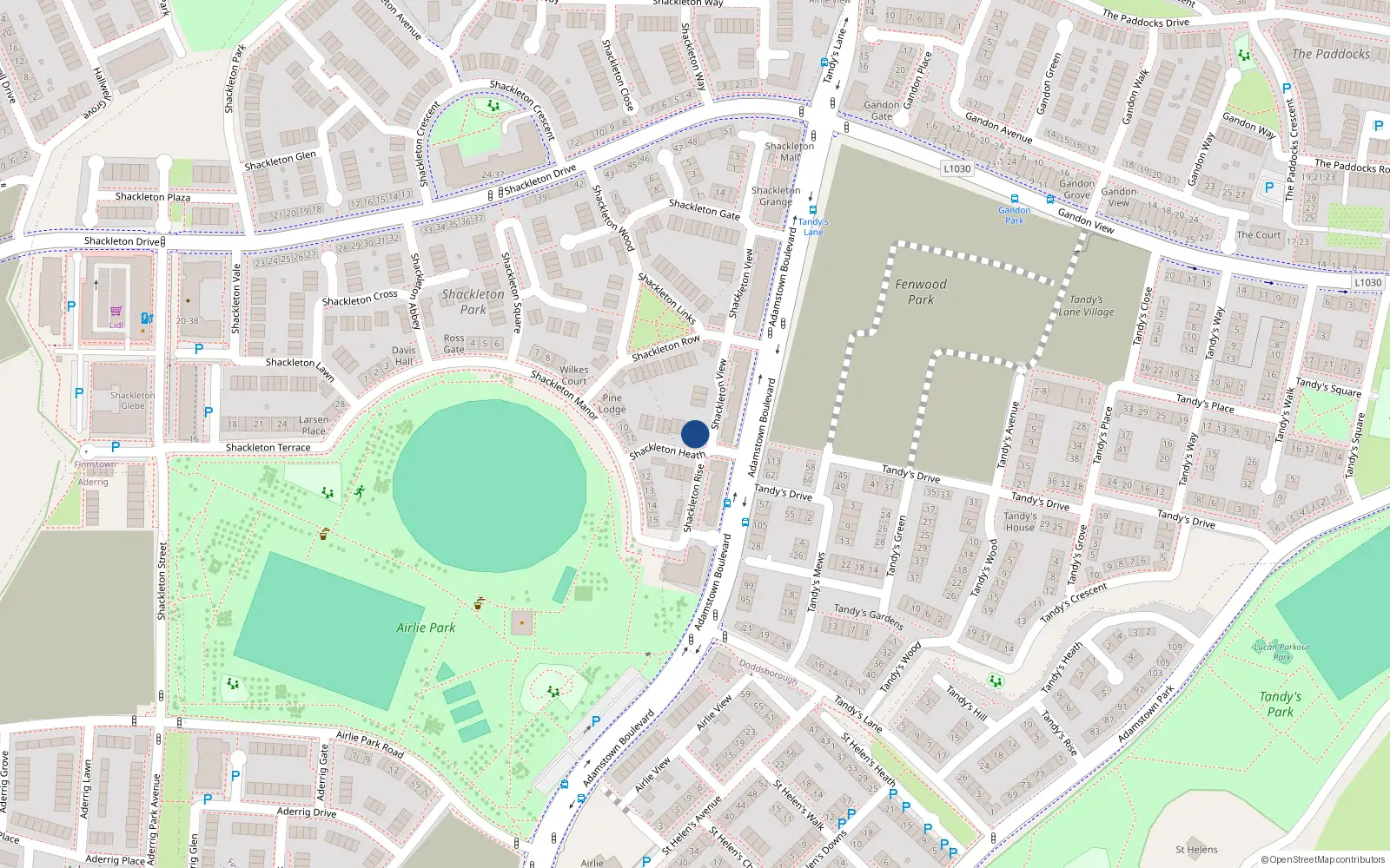 Overhead map showing the location of 6 Shackleton Heath, Shackleton Park, Lucan
