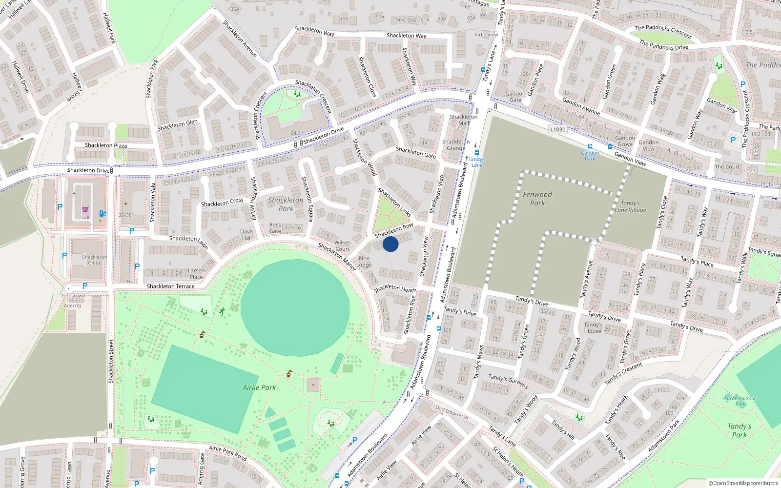 Overhead map showing the location of 6 Shackleton Row, Shackleton Park, Lucan