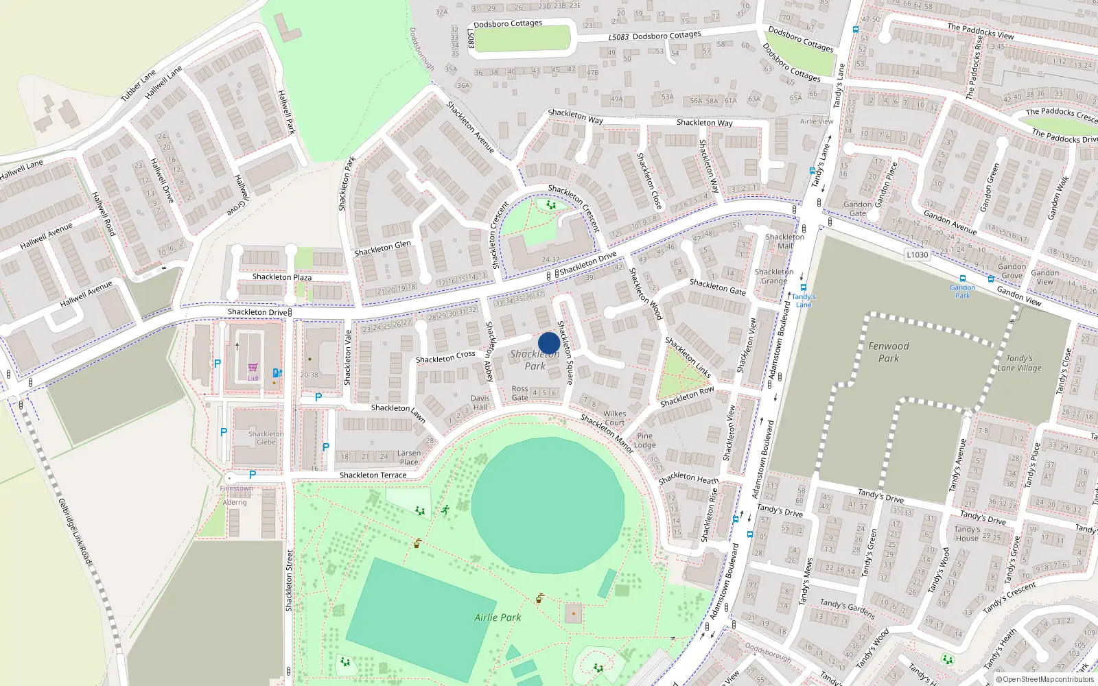 Overhead map showing the location of 6 Shackleton Square, Finnstown