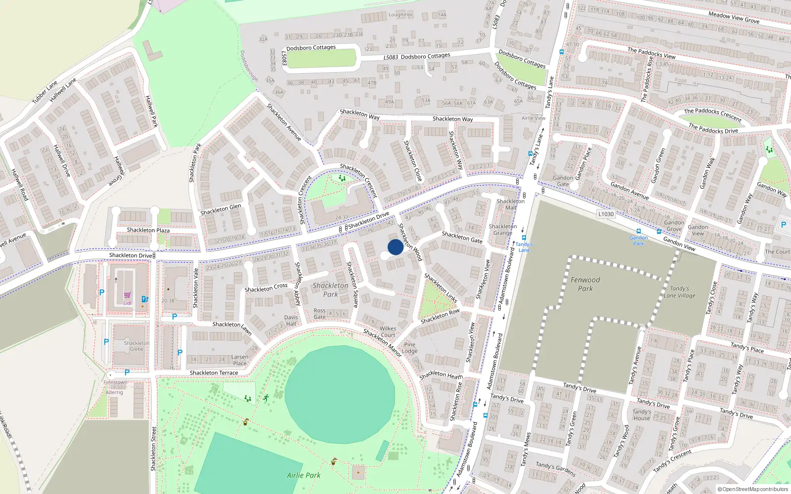 Overhead map showing the location of 6 Shackleton Wood, Lucan