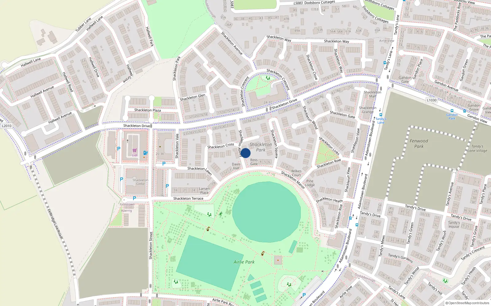 Overhead map showing the location of 6 Shakelton Abbey, Lucan