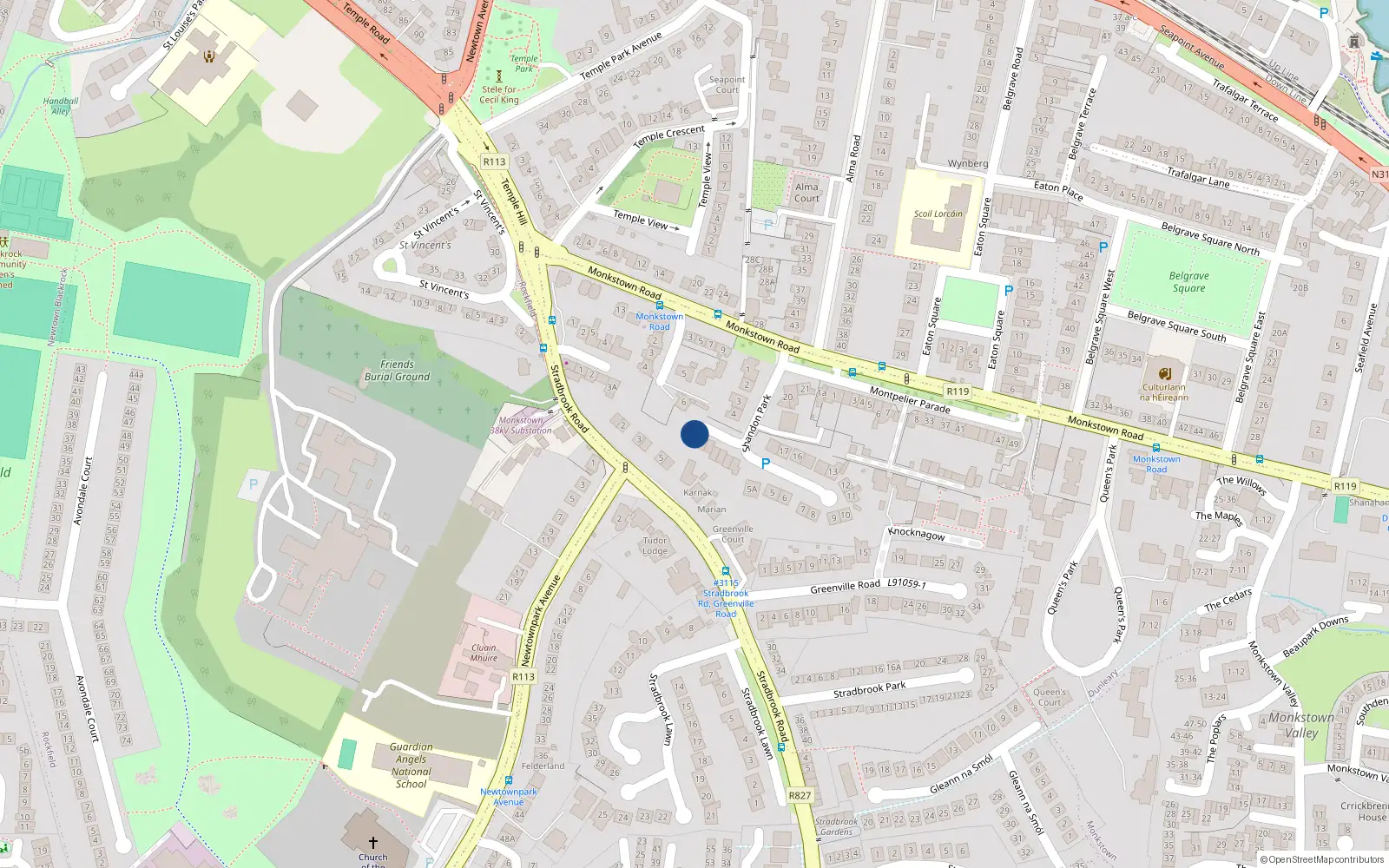 Overhead map showing the location of 6 Shandon Wood, Blackrock