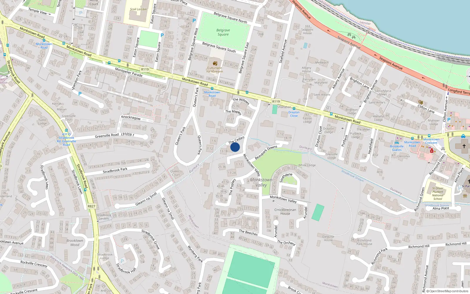 Overhead map showing the location of 6 the Cedars, Monkstown Valley, Monkstown