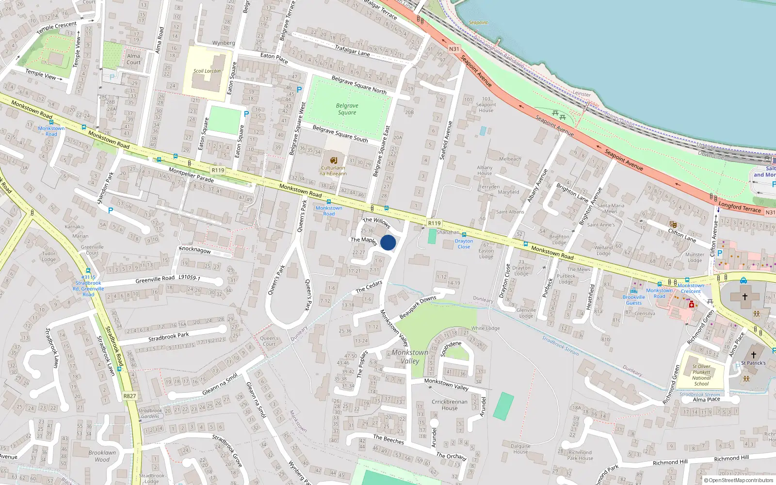 Overhead map showing the location of 6 the Willows, Monkstown Valley, Monkstown