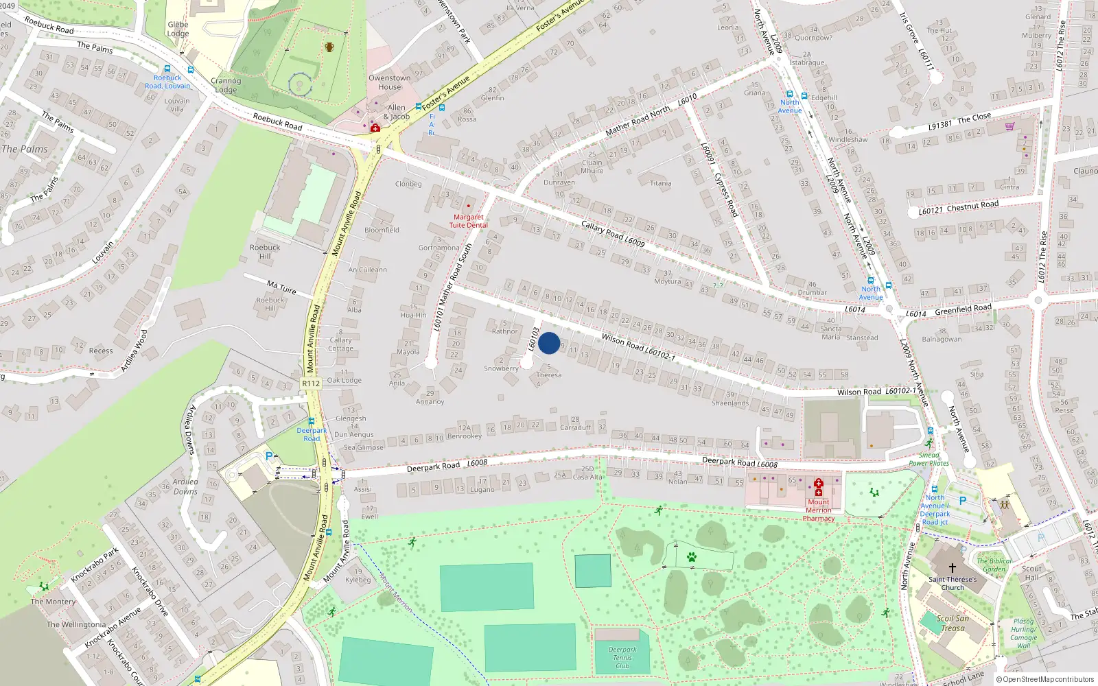 Overhead map showing the location of 6 Wilson Crescent, Mount Merrion, Dublin
