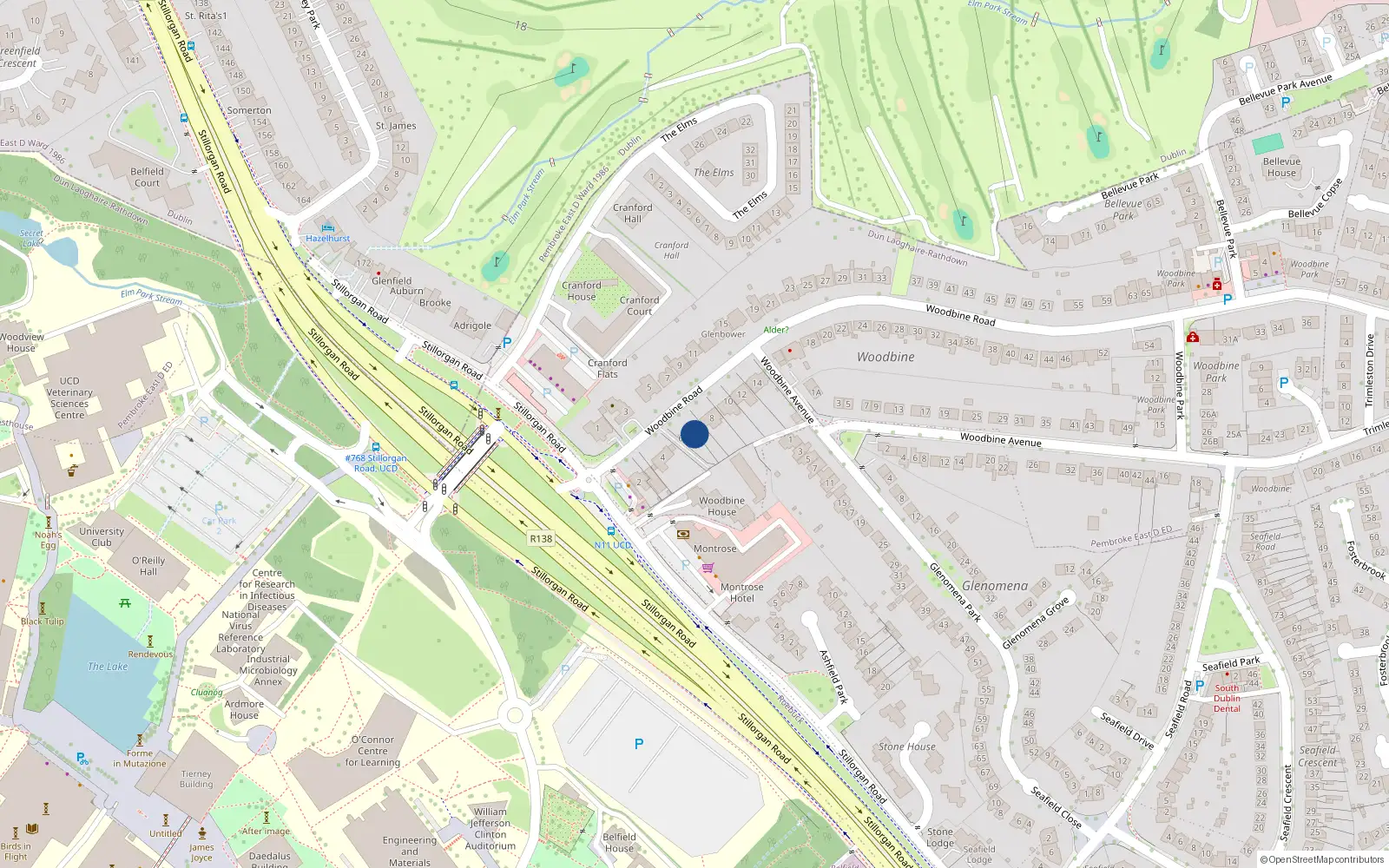 Overhead map showing the location of 6 Woodbine Road, Blackrock