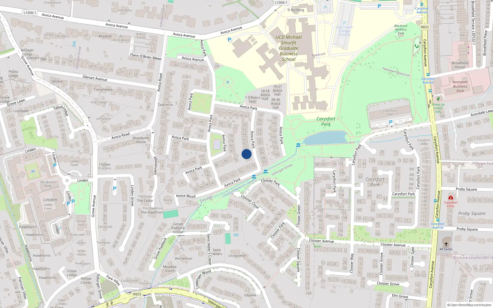 Overhead map showing the location of 60 Avoca Park, Blackrock, Dublin