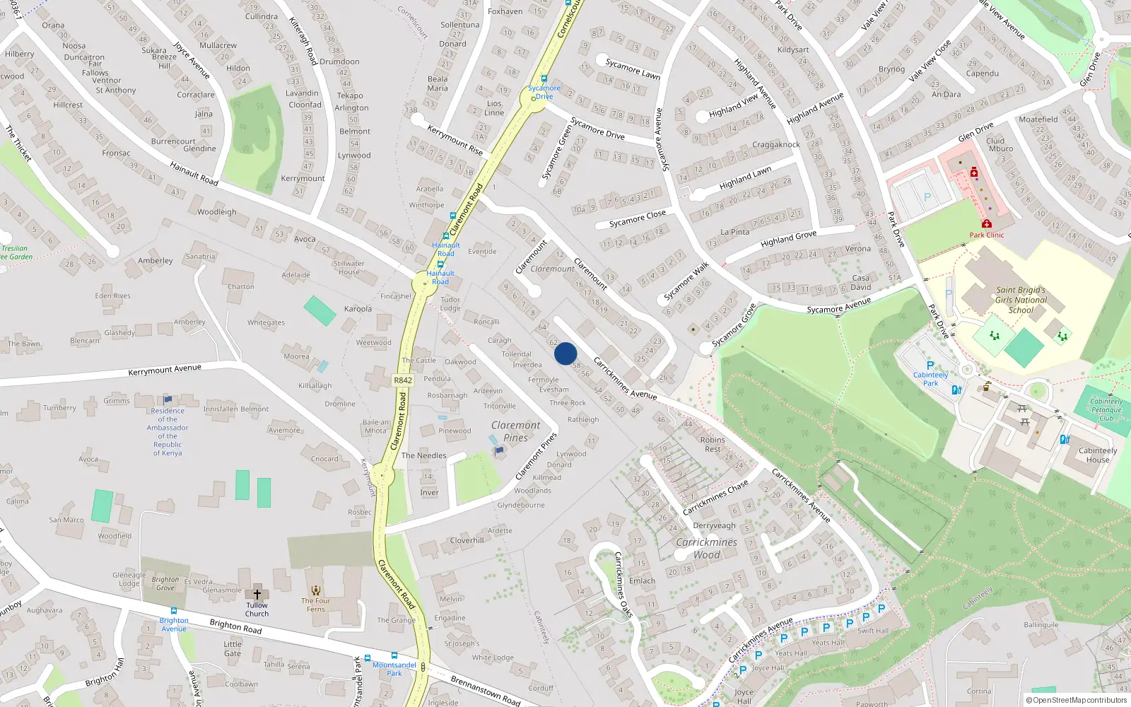 Overhead map showing the location of 60 Carrickmines Avenue, Dublin 18