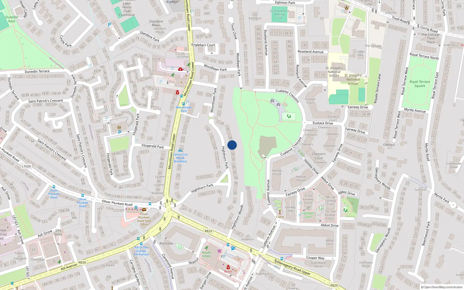 Overhead map showing the location of 60 Highthorn Park, Monkstown