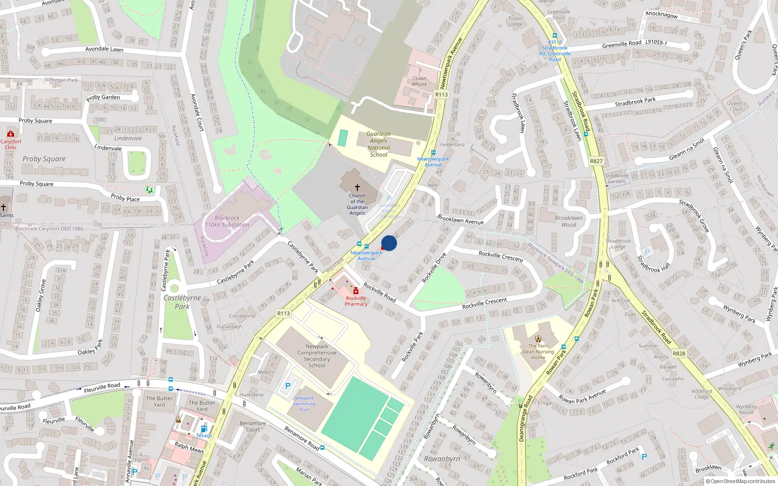 Overhead map showing the location of 60 Newtownpark Avenue, Blackrock
