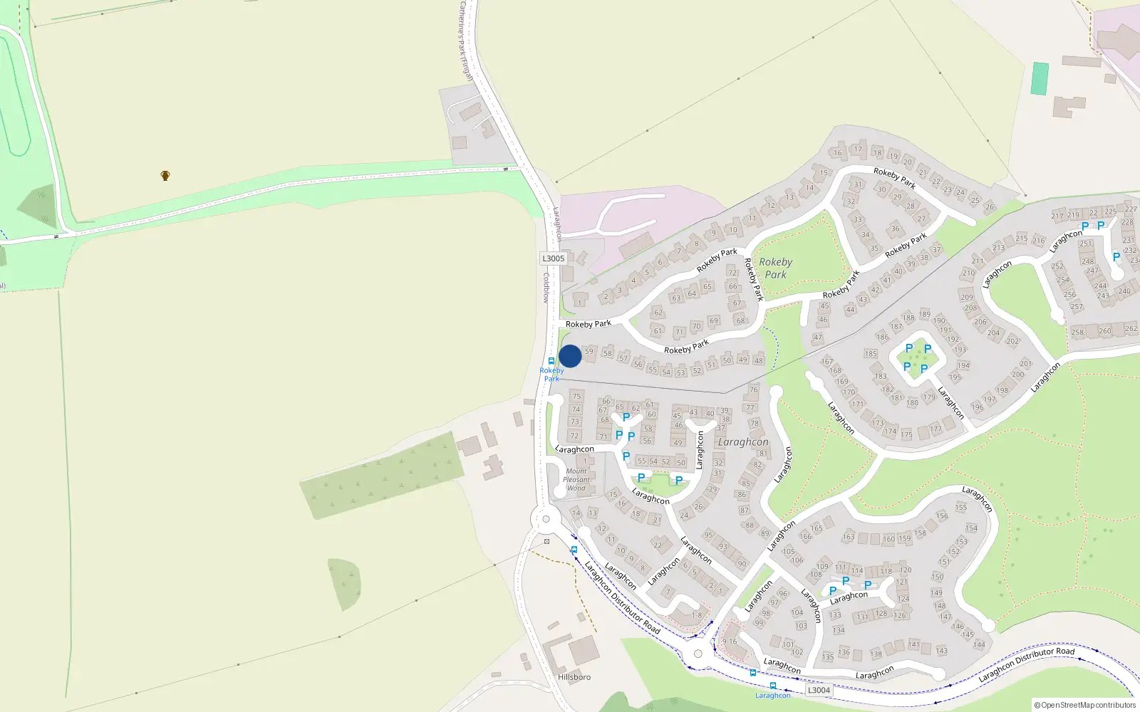 Overhead map showing the location of 60 Rokeby Park, Lucan