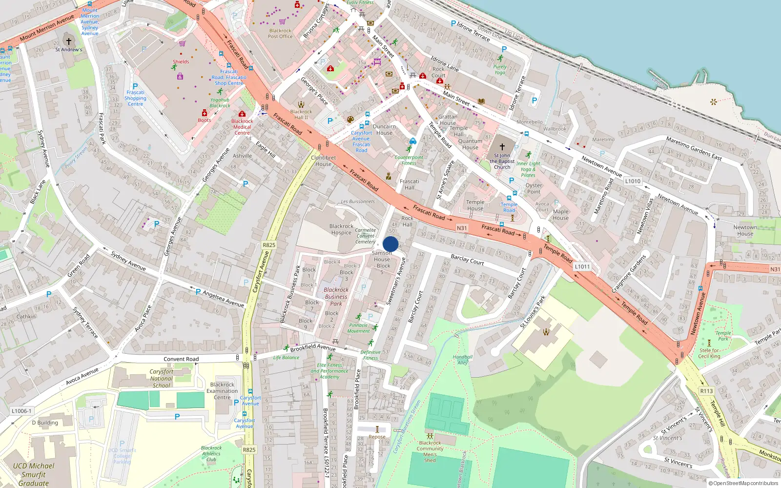 Overhead map showing the location of 60 Sweetman's Avenue, Blackrock