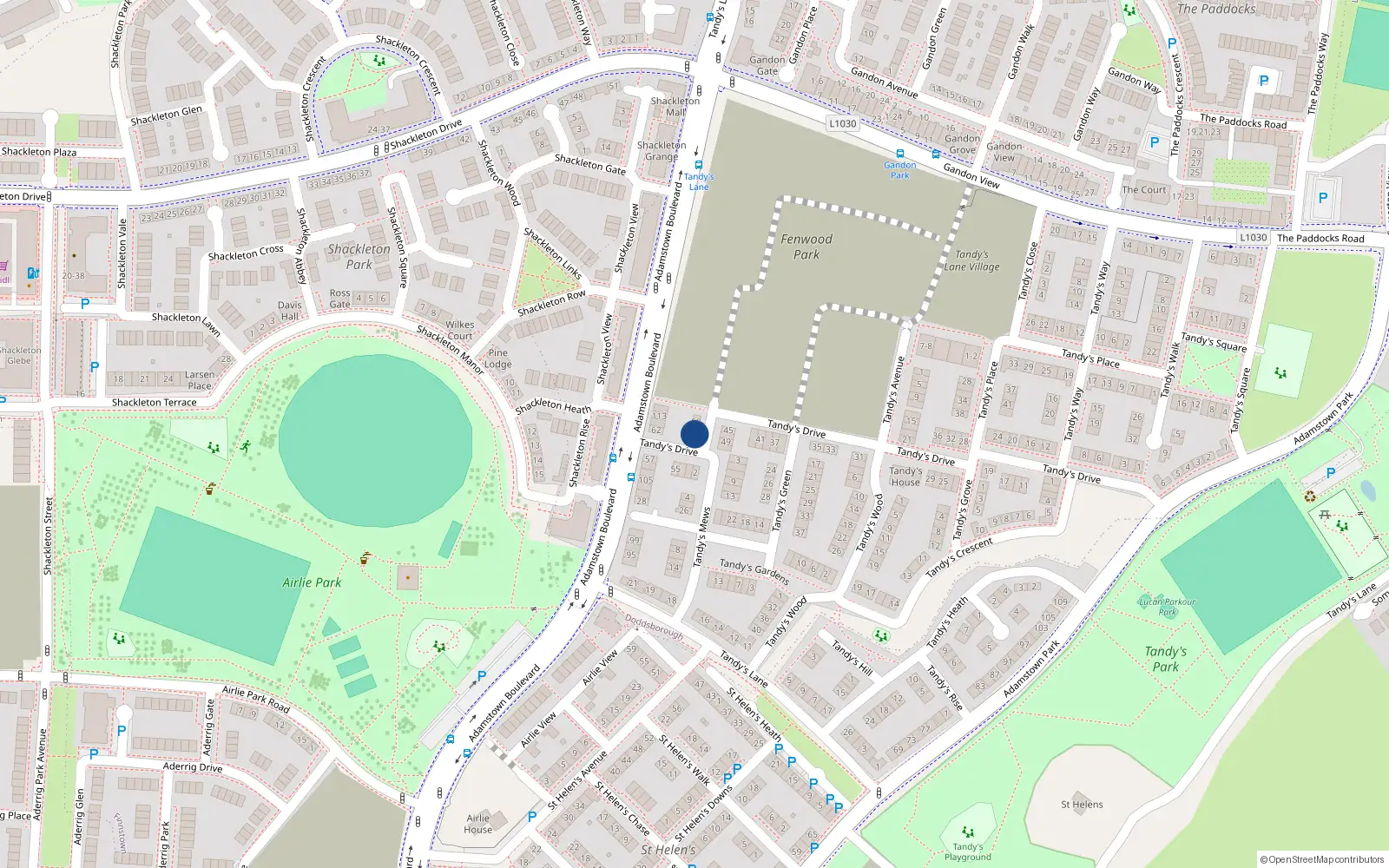 Overhead map showing the location of 60 Tandy's Drive, Lucan