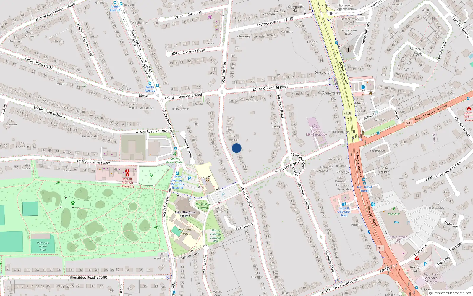 Overhead map showing the location of 60 The Rise, Blackrock
