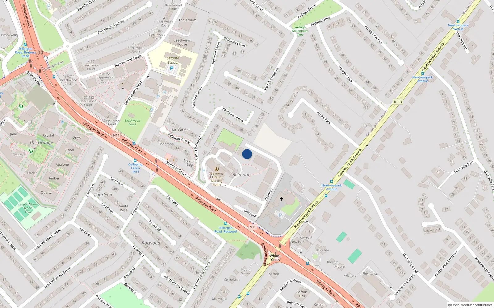 Overhead map showing the location of 602 Galloping Green Apts, Stillorgan Road, Blackrock