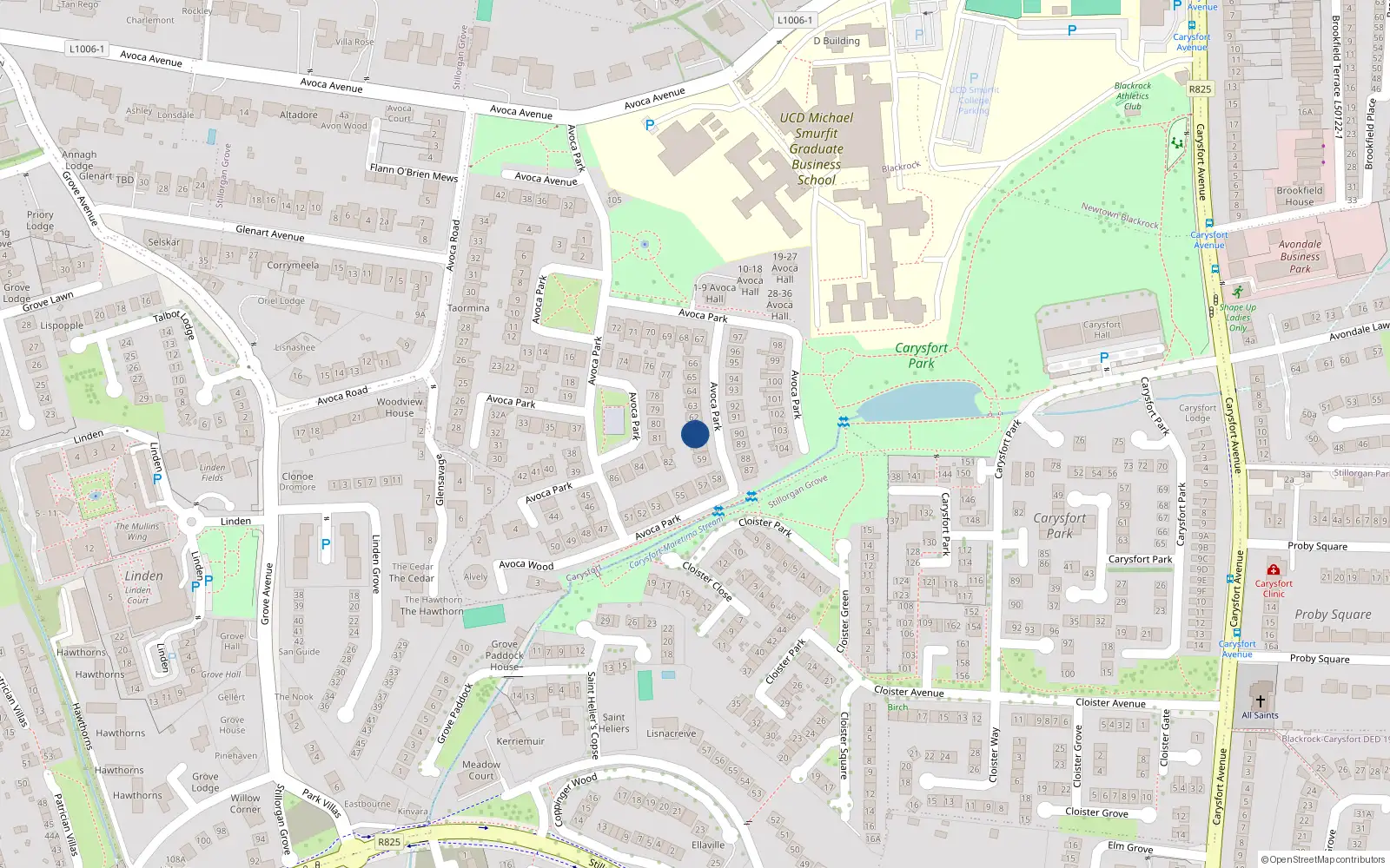 Overhead map showing the location of 61 Avoca Park, Blackrock, Co Dublin