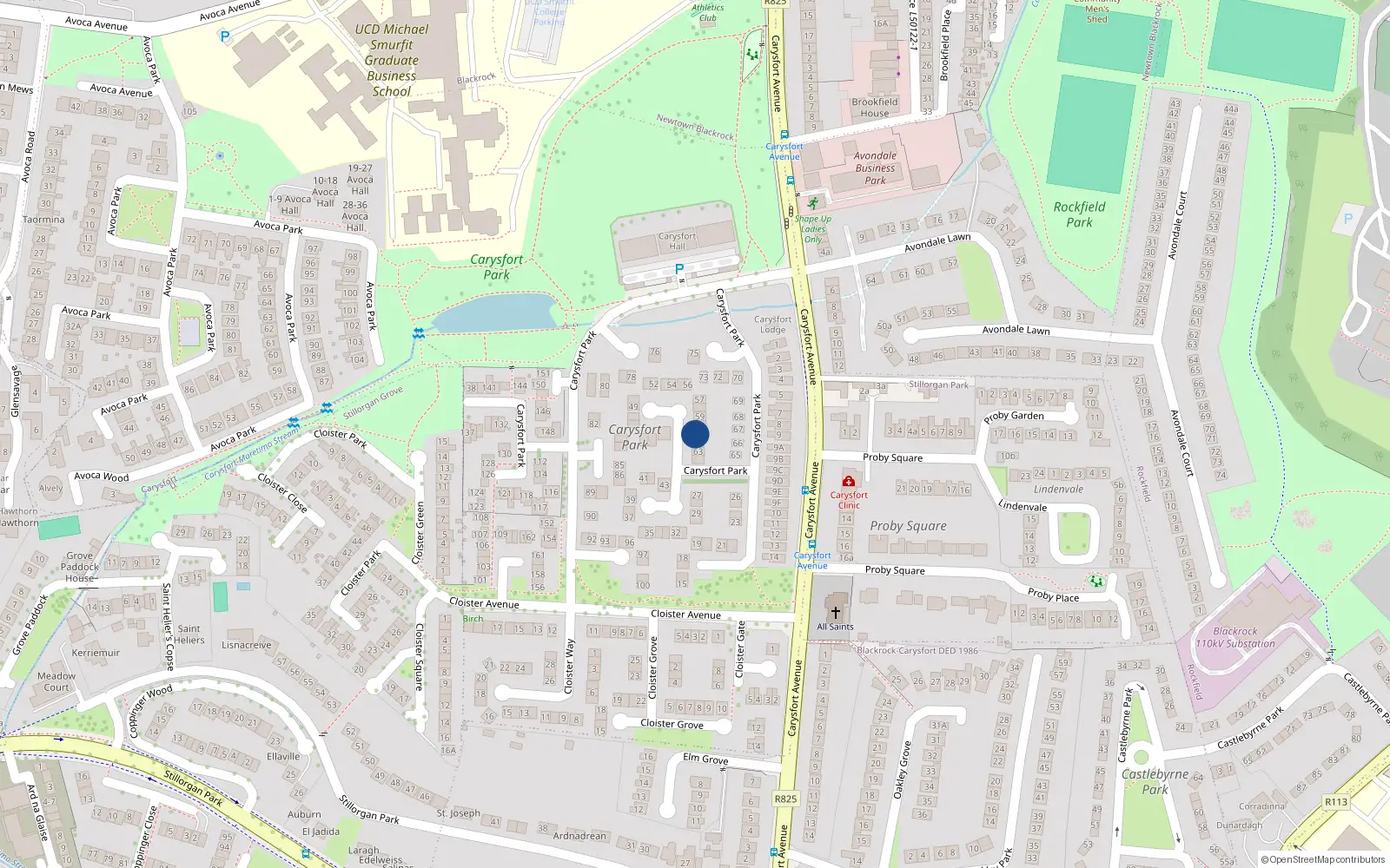 Overhead map showing the location of 61 Carysfort Park, Blackrock, Dublin