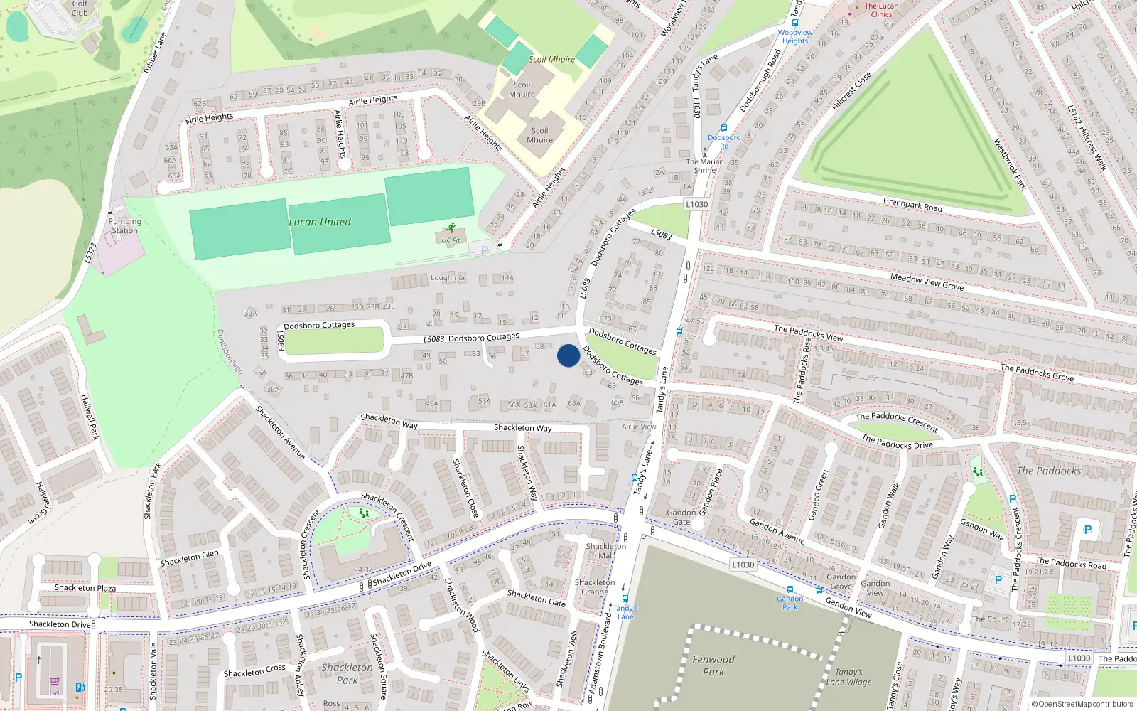 Overhead map showing the location of 61 Dodsborough Cottages, Lucan
