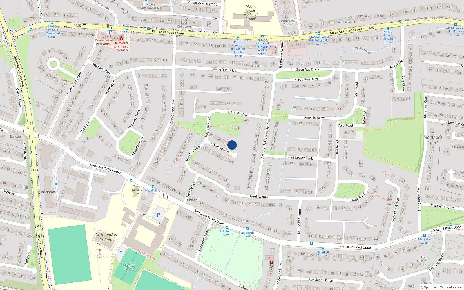 Overhead map showing the location of 61 Hazel Avenue, Blackrock