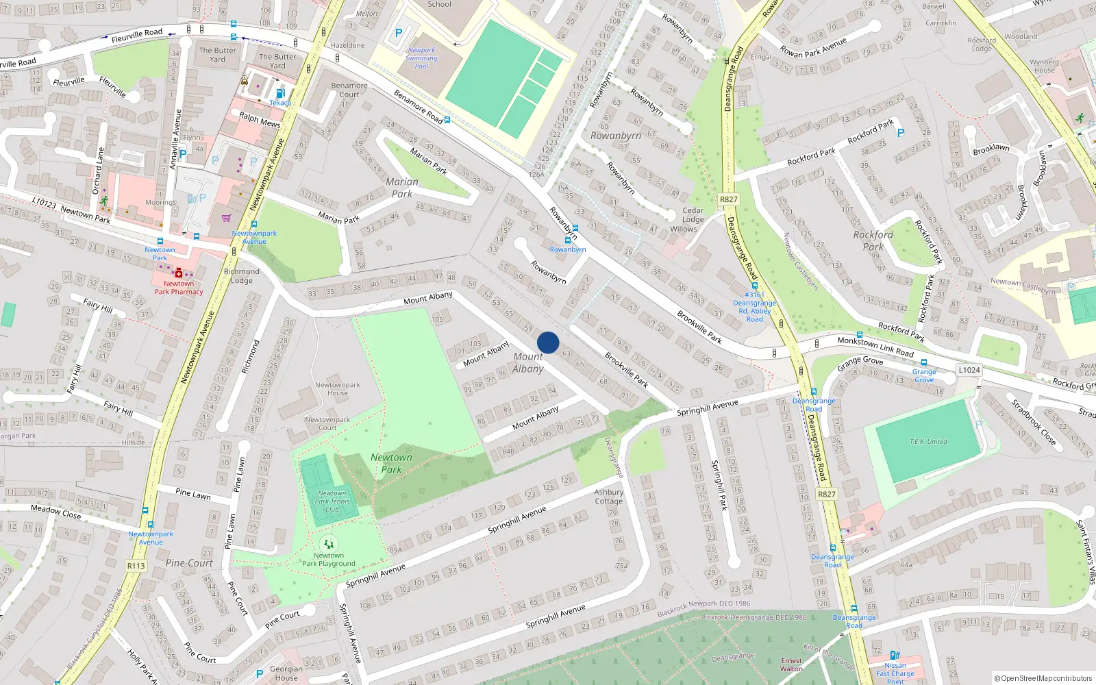 Overhead map showing the location of 61 Mount Albany, Blackrock, Dublin