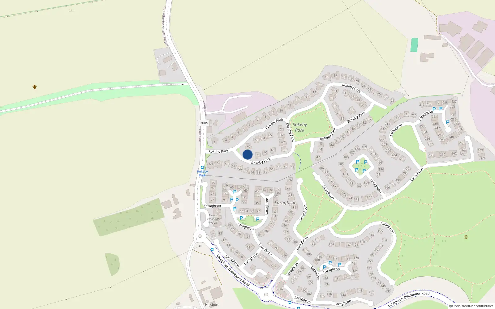 Overhead map showing the location of 61 Rokeby Park, Lucan