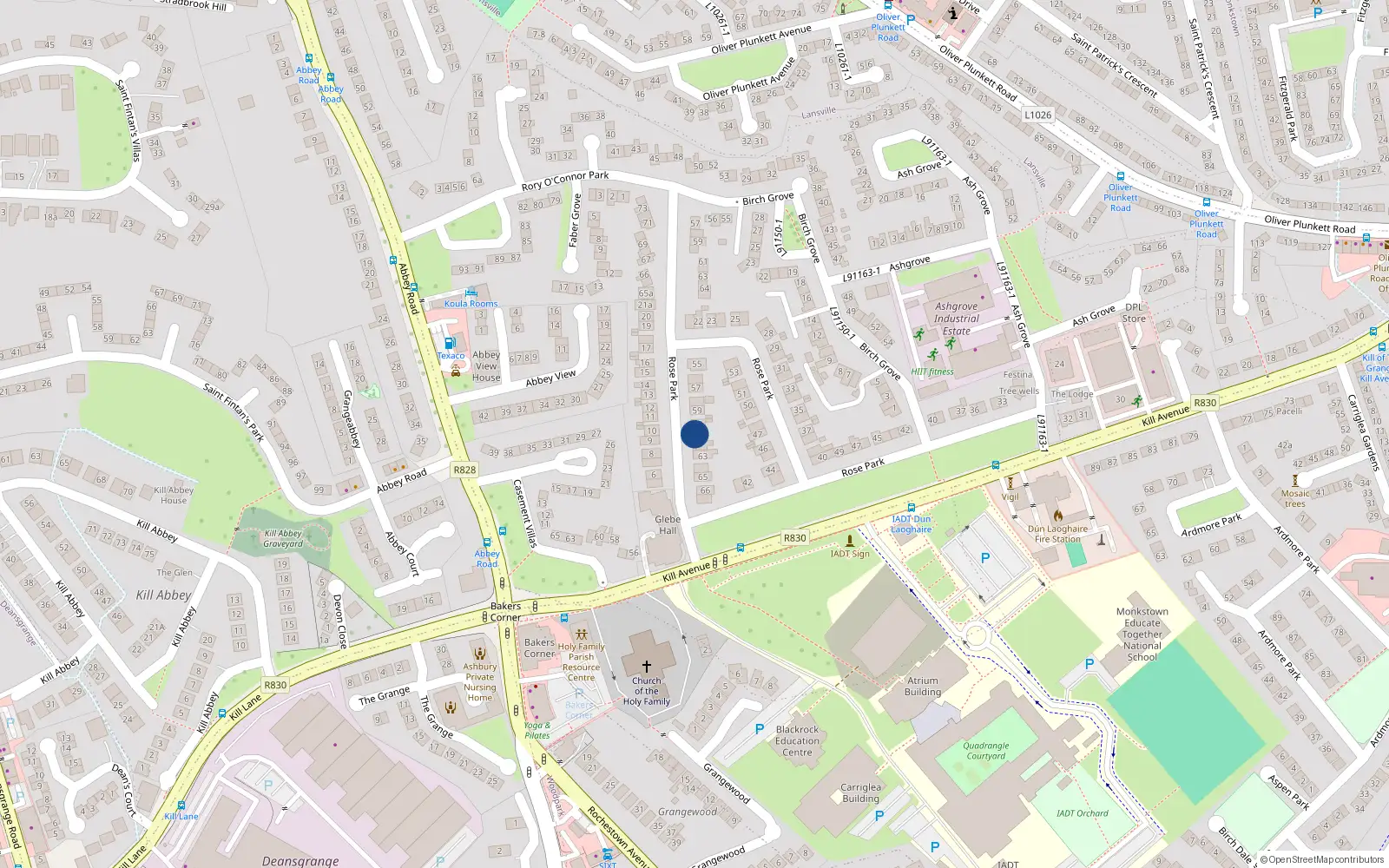Overhead map showing the location of 61 Rose Park, Dun Laoghaire
