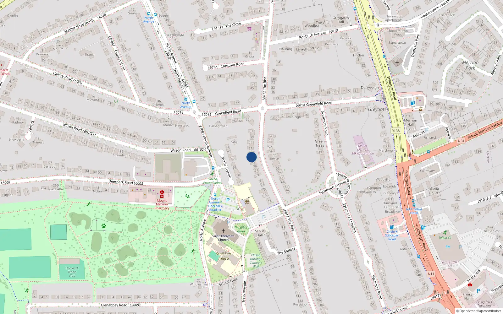 Overhead map showing the location of 61 The Rise, Blackrock