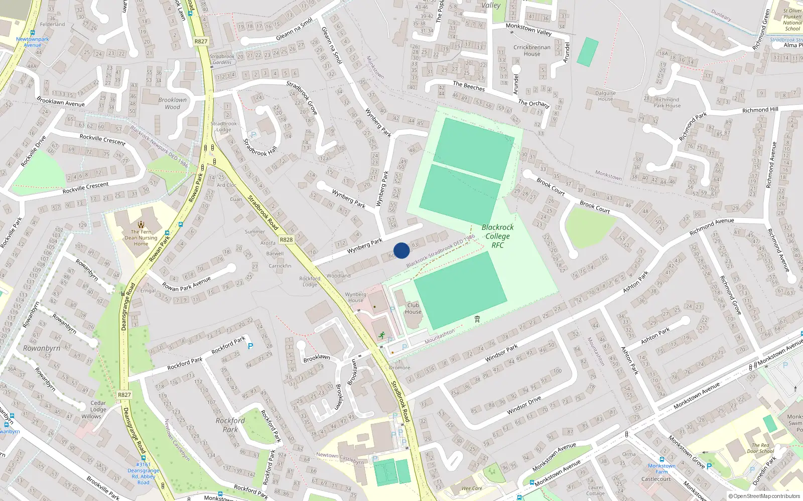 Overhead map showing the location of 61 Wynberg Park, Blackrock