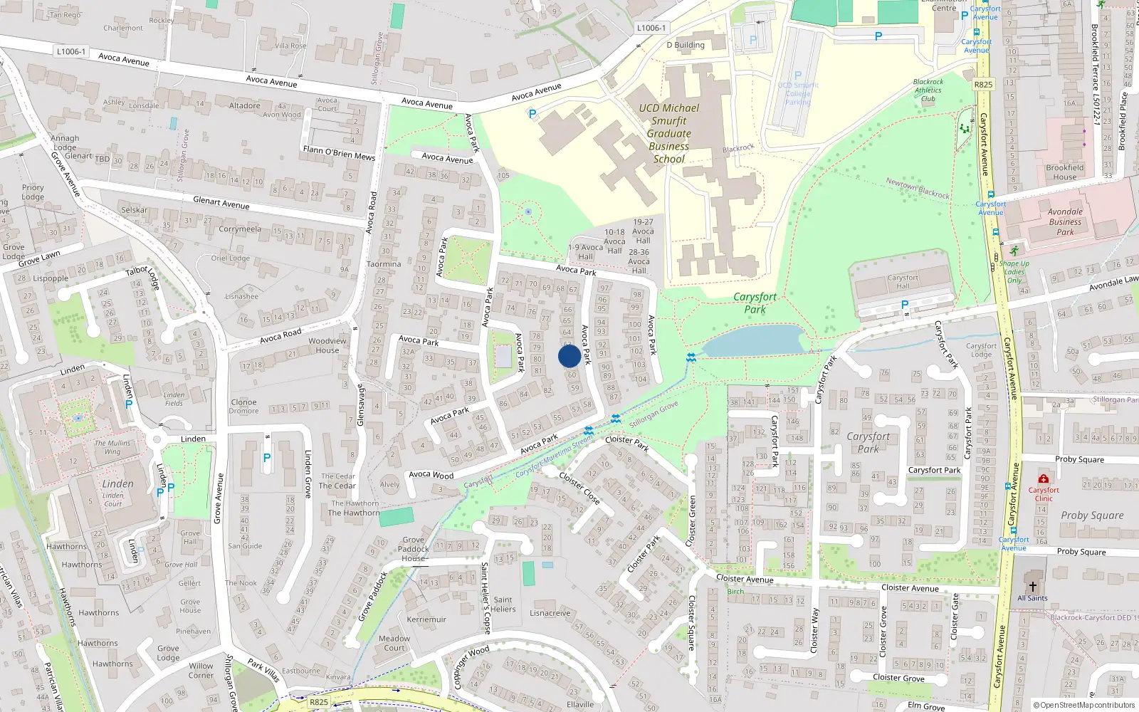 Overhead map showing the location of 62 Avoca Park, Blackrock