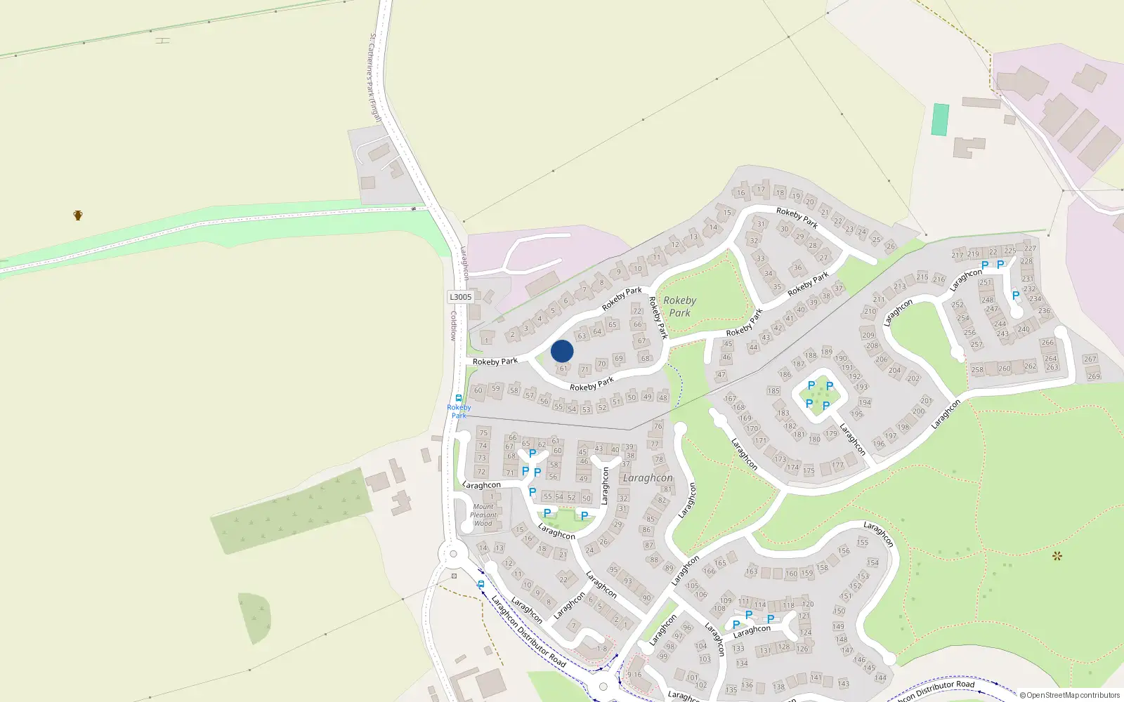 Overhead map showing the location of 62 Rokeby Park, Lucan