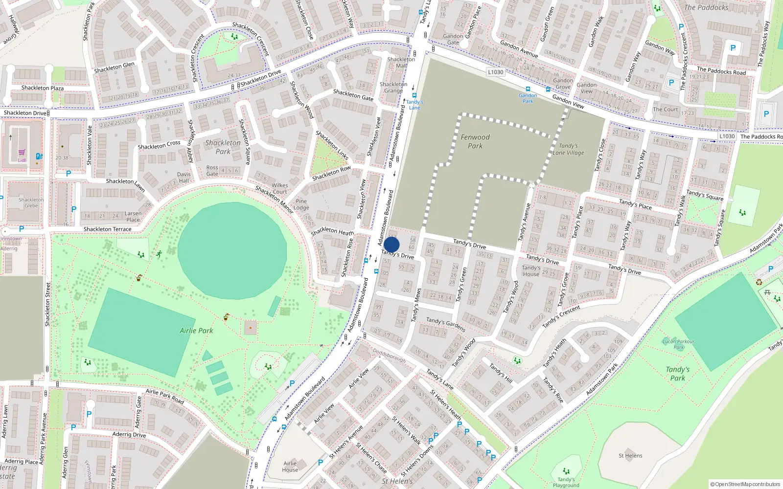 Overhead map showing the location of 62 Tandy's Drive, Lucan