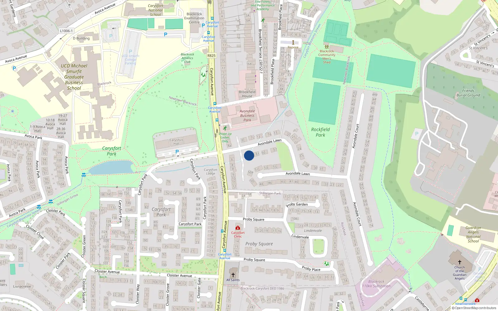Overhead map showing the location of 63 Avondale Lawn, Blackrock, Co Dublin