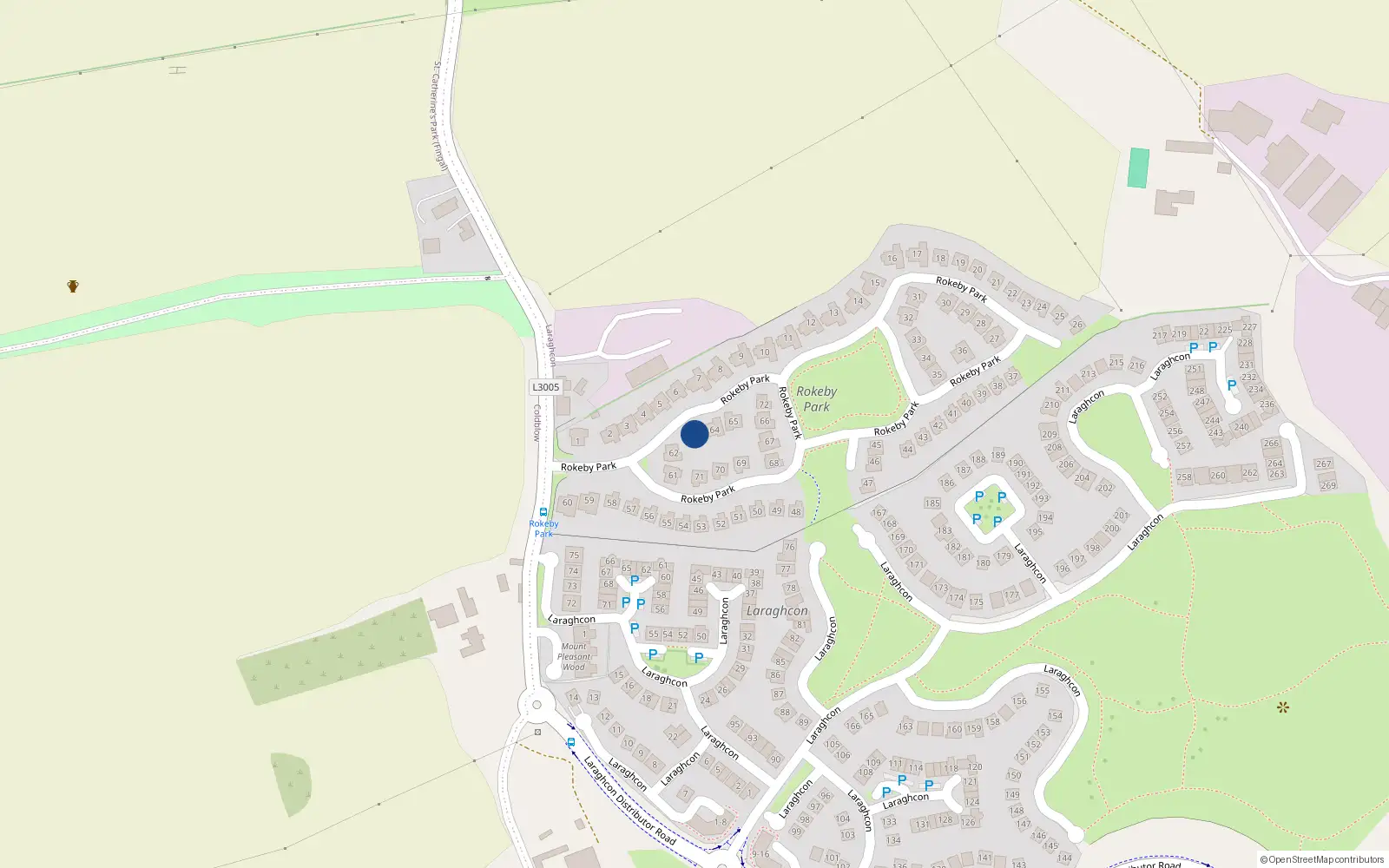 Overhead map showing the location of 63 Rokeby Park, Lucan