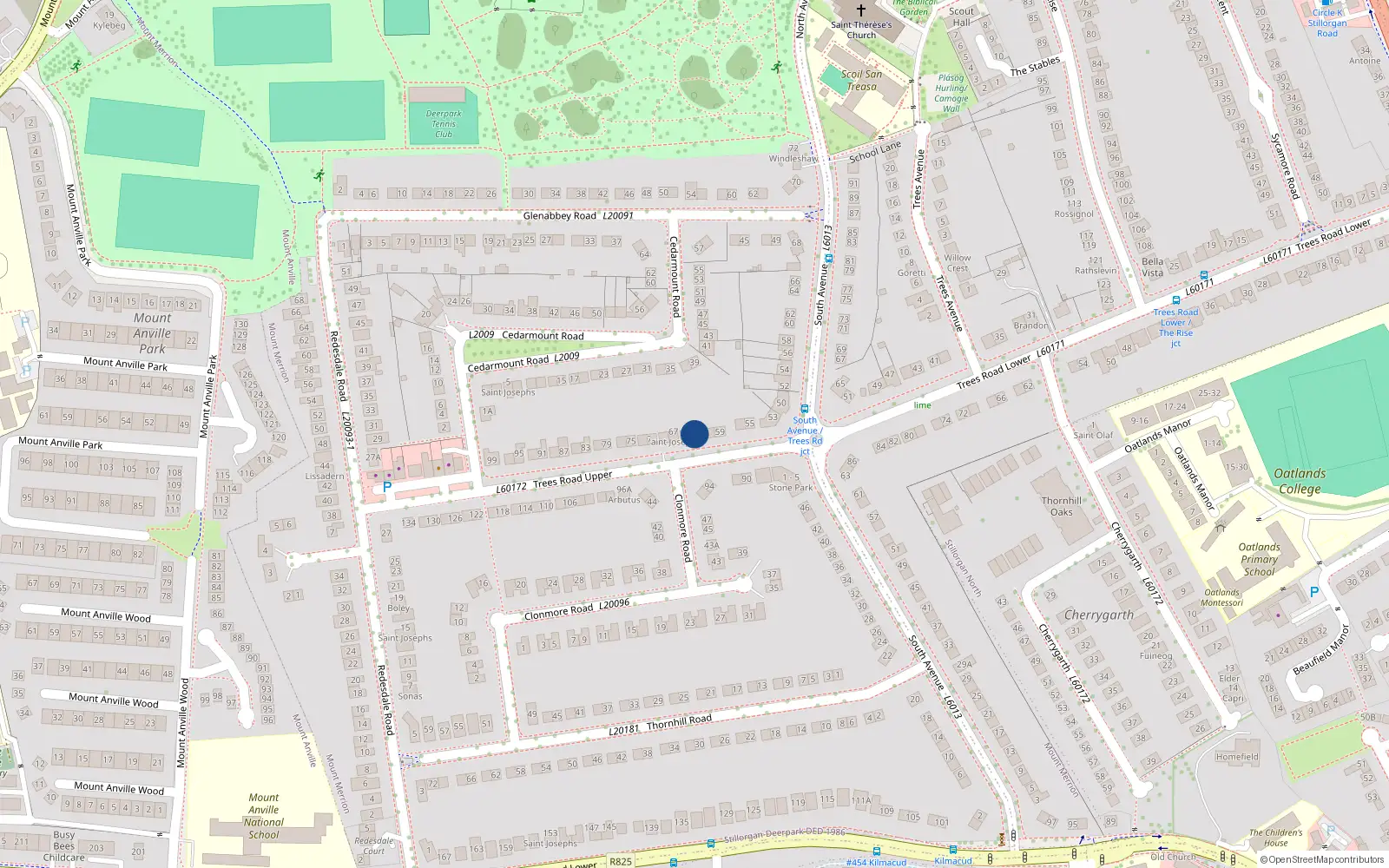 Overhead map showing the location of 63 Trees Road Upper, Mount Merrion