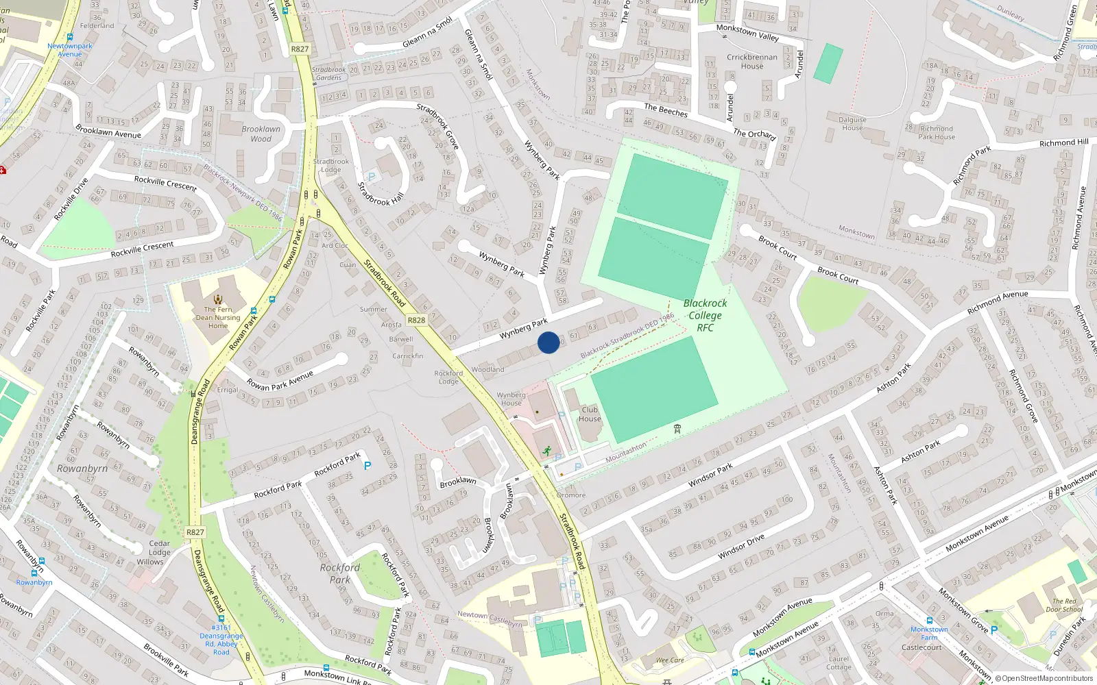 Overhead map showing the location of 63 Wynberg Park, Blackrock