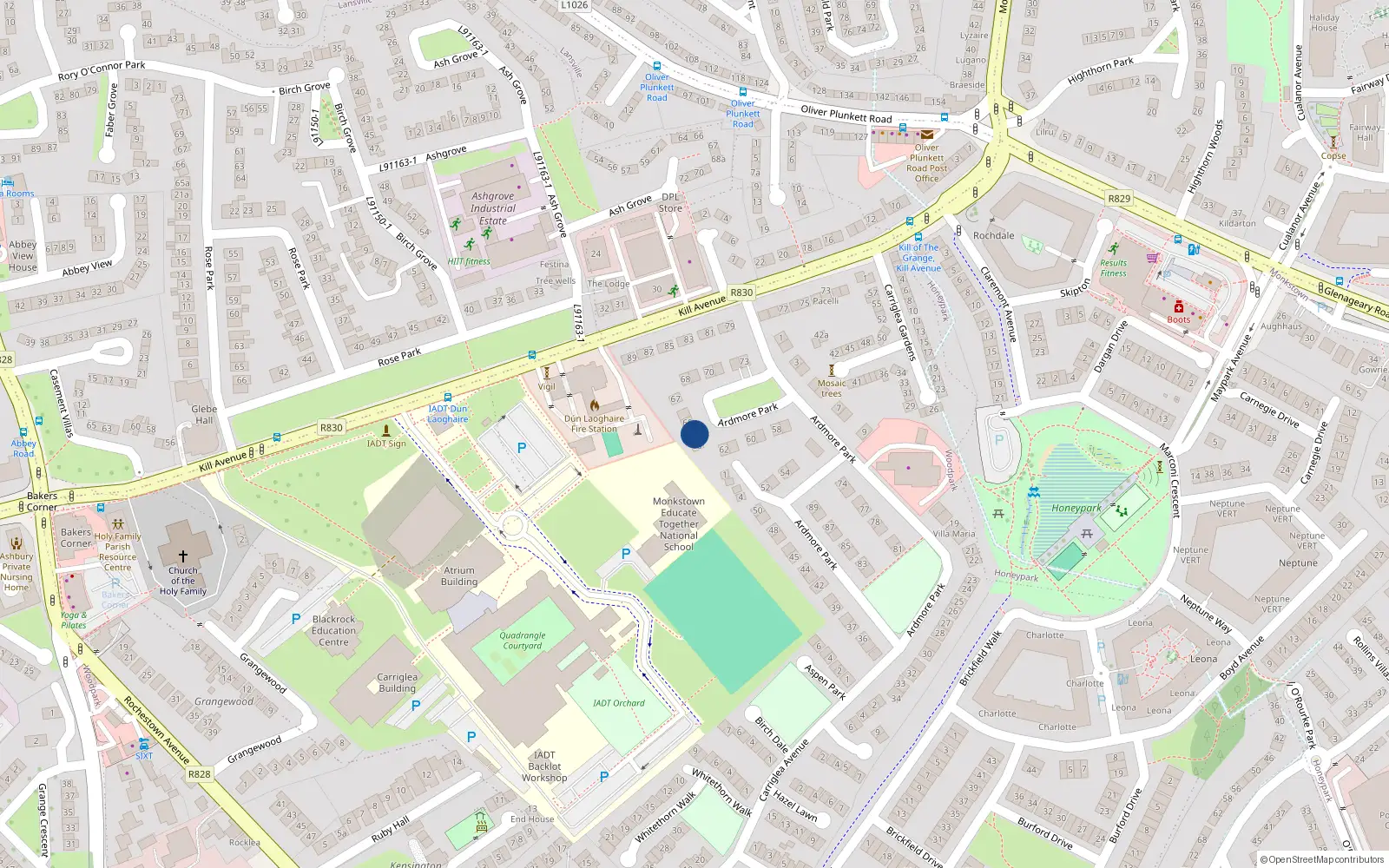 Overhead map showing the location of 64 Ardmore Park, Dublin