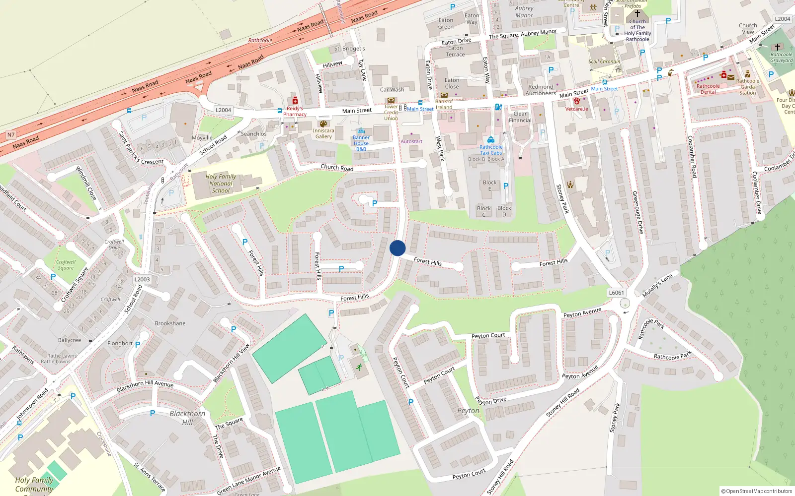 Overhead map showing the location of 64 Forest Hills, Rathcoole