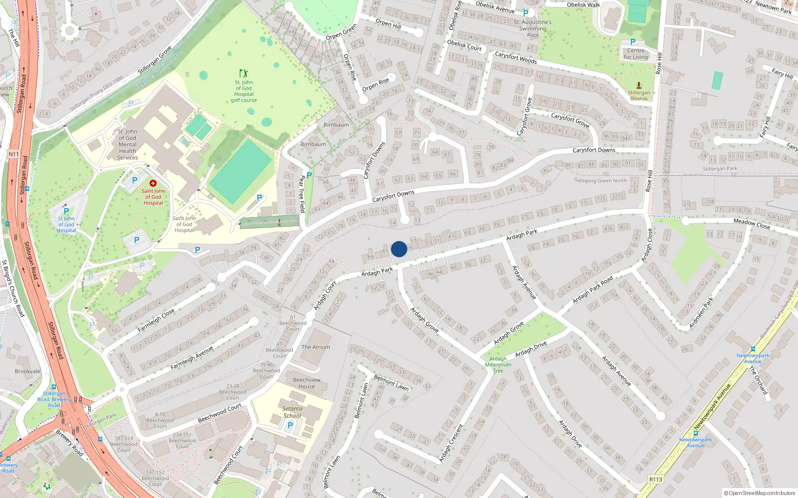 Overhead map showing the location of 65 Ardagh Park, Blackrock